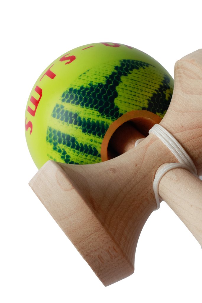 v13_SWTSV13_02_1024x1024